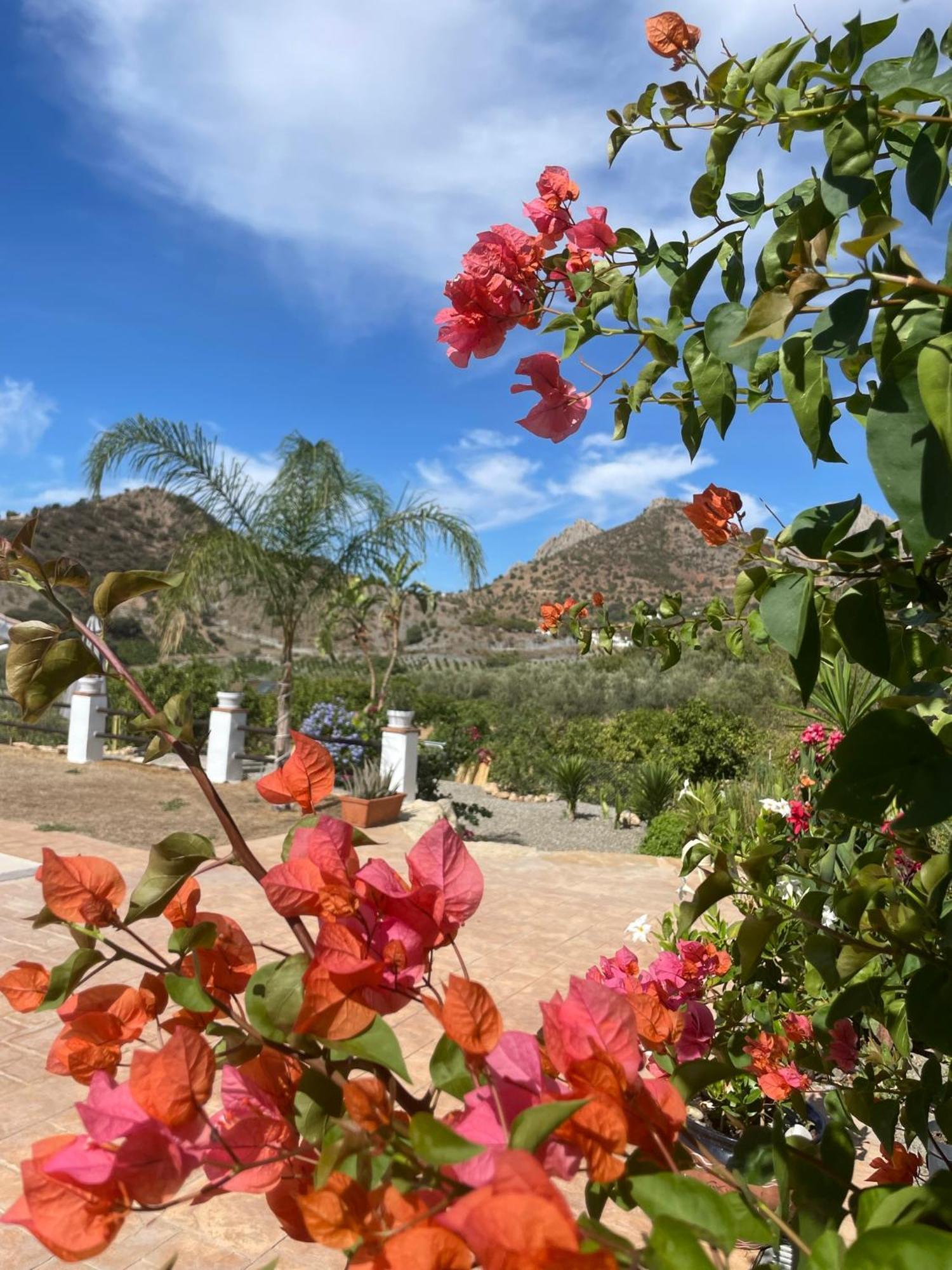 Finca Valle Verde Bed & Breakfast Alora Exterior photo